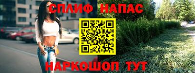 не бодяженный Будённовск