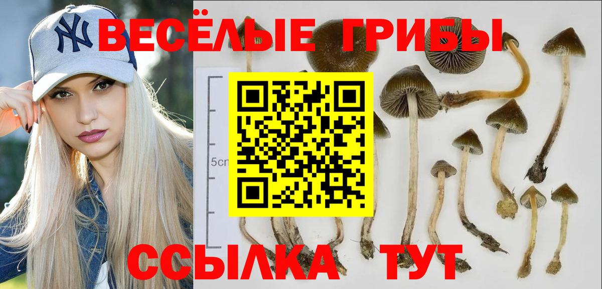 Галлюциногенные грибы мухоморы Ликино-Дулёво